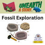 picture of fossils and tools 