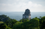 Mayan Ruin