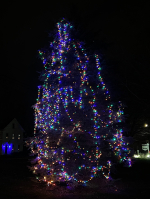 Tree Lighting at John Curtis Free Library