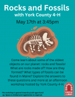Rocks and Fossil with York County 4-H