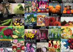 Seed packets
