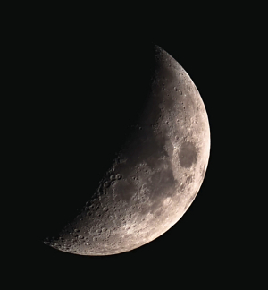 Star Gazing at Sholan Farms! image