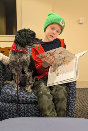 Meet and Greet with Penny the Cockapoo! image