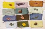 Pieces of cloth of varying colors with the plant on them that dyed them that color.