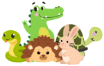 Animal Adventures