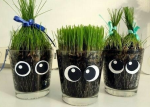 Chia Pet