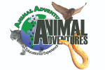 Animal Adventures - Live Animals