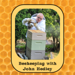 Beekeeping with John Hedly