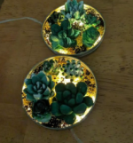 Tweens & Teens Craft - Succulent Nightlights