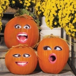 Live No Carve Pumpkin Decorating - Grades K-5