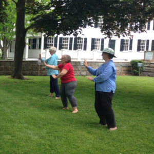 Advanced Tai Chi image