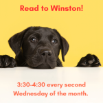 a black lab with their chin and front paws on a white counter