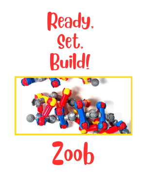 Ready, Set, Build: Zoob image