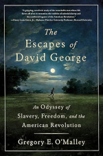 Book Cover Escapes of David George.