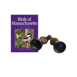 binoculars beside a purple Birds of Massachusetts Field Guide book 