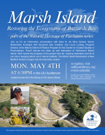 Marsh Island