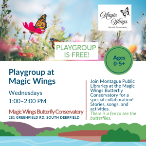 Playgroup at Magic Wings image