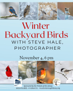 Winter Backyard Birds, November 4, 6 pm