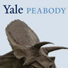 Yale Peabody Museum of Natural History