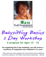 Babysitting Basics Workshop - 2 Day Workshop course - February 18th and 19th 2026, 9:30 am - 1:30 pm