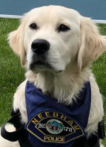 Community Leader Storytime - Needham Police Dog