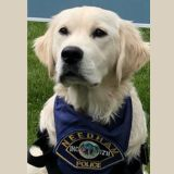 Read to Rocket, the Police Dog! image