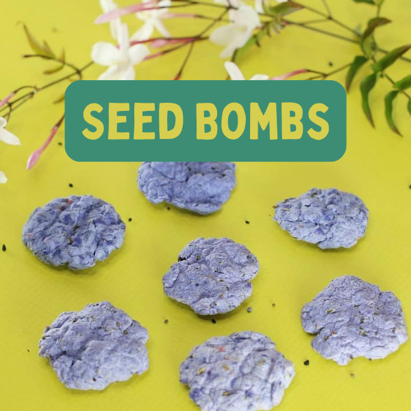 seed bombs with flowers.