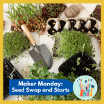Seed Swap