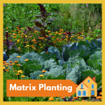 Matrix Planting
