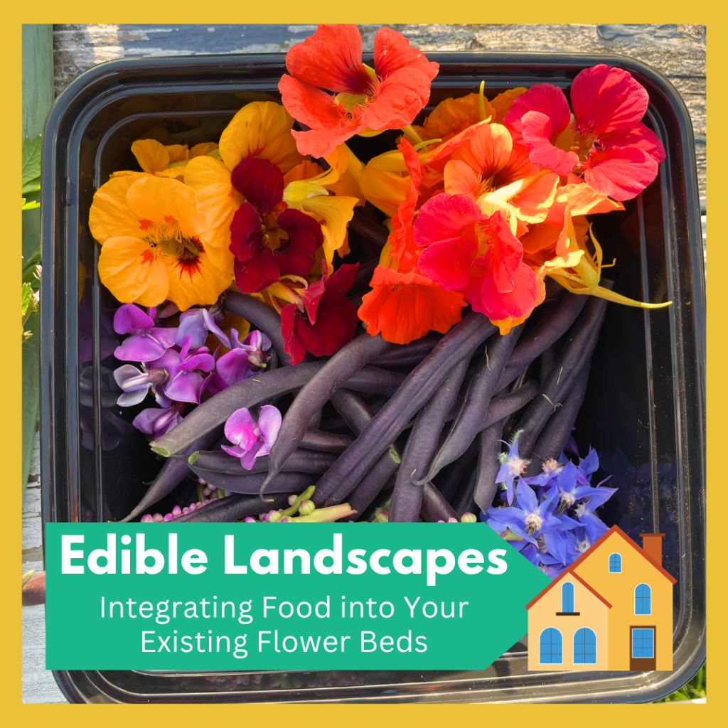 Edible Landscapes