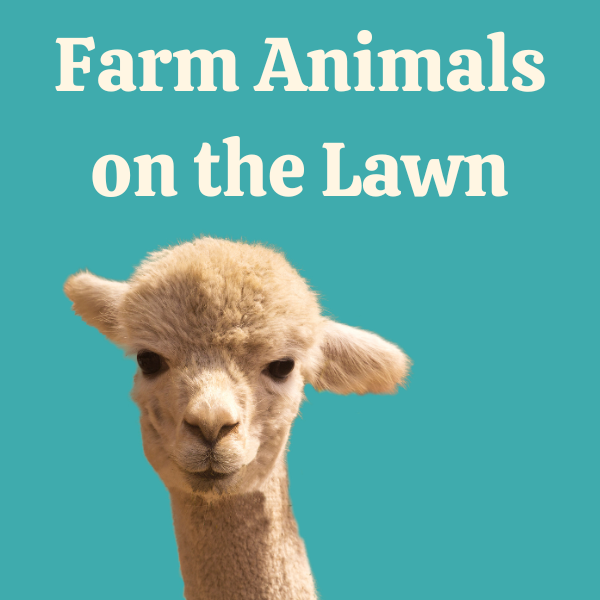 alpaca from neck up on green background.