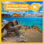 Armchair Travel To The Galapagos Islands (VIRTUAL)