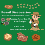 little boy excavating a fossil.