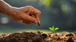 seed swap