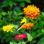 Bright yellow bird in a field of pretty flowers.