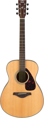 acoustic guitar