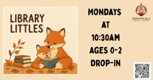 Library Littles Storytime & Playgroup image