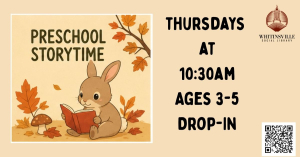 Preschool Storytime & Playgroup image