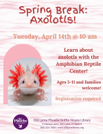 axolotls