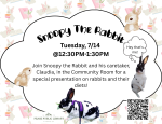 Snoopy the Rabbit. 
