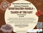 Montshire Museum. 