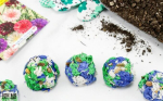 Seed Bombs