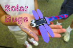 Solar bug