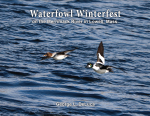 Book cover with ducks