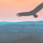 Flying raptor over mountains