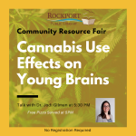 community resource fair