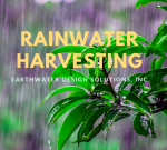 rainwater harvesting images with leaves and rain