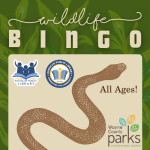 Wildlife BINGO
