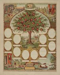 Genealogy Club image