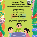 sensory bins.